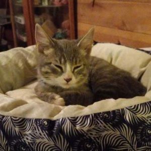 Meet your Posher, Claire